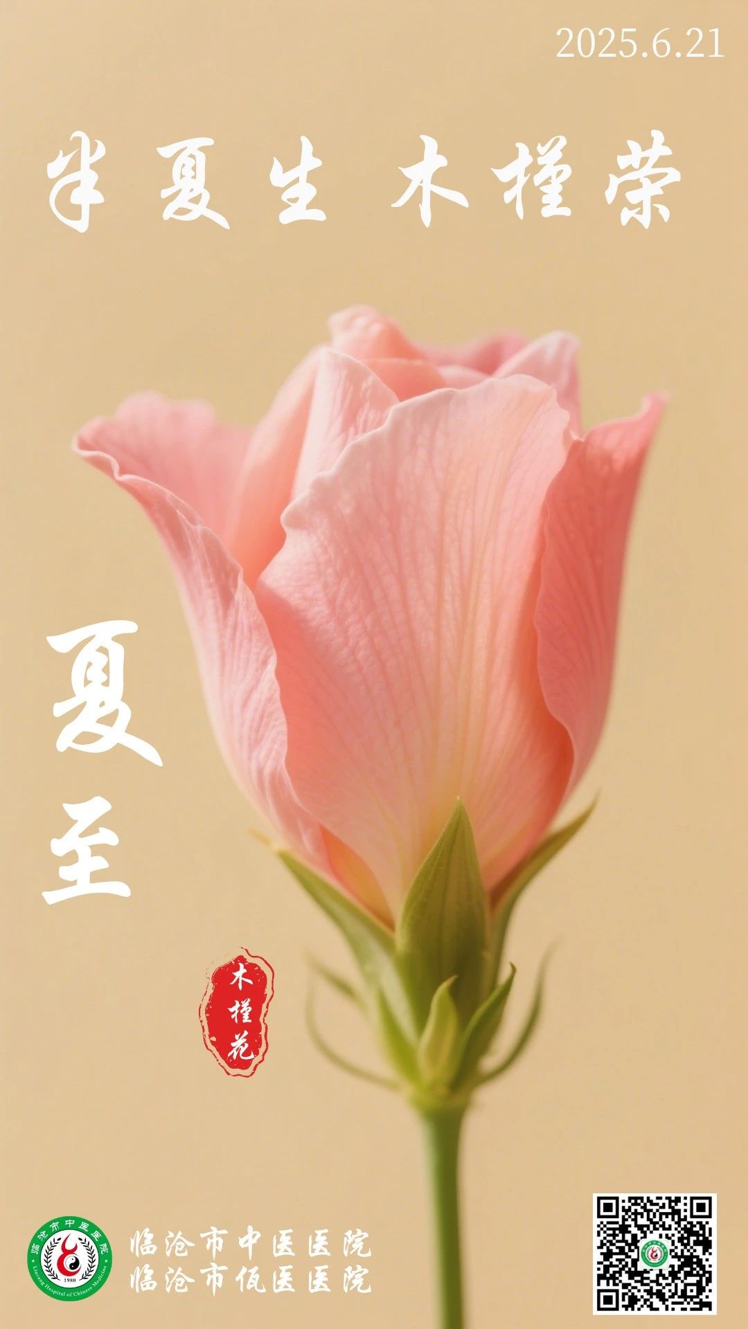 二十四節氣 | 夏至：半夏生，木槿榮